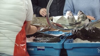 Lenguado: propiedades, beneficios y contraindicaciones