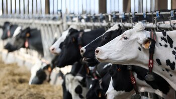 EEUU amenaza con frenar la