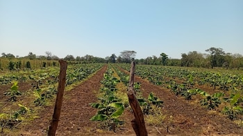 La inversión busca optimizar la