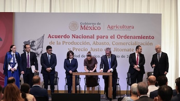 Sheinbaum firma acuerdo para garantizar venta de jitomate en México