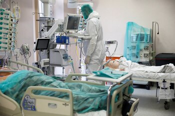 Los investigadores esperan tratar los