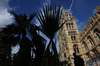 Los investigadores piden más apoyo