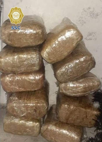 En el inmueble fueron decomisados