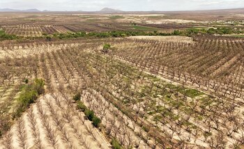 Hidrólogos advierten