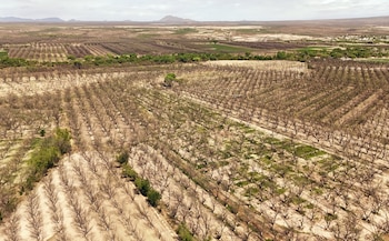 Hidrólogos advierten que solo una