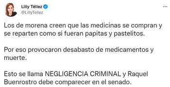 Lilly Téllez señaló que los integrantes de Morena provocaron el desabasto de medicamentos (Foto: Twitter@LillyTellez)
