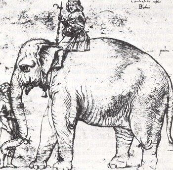 Boceto de Hanno, dibujado por el pintor italiano Rafael, alrededor de 1514. (WikiCommons/Dominio público)