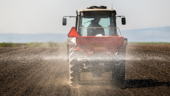 Bloqueos marítimos y costos logísticos en alza impactan en la cadena alimentaria