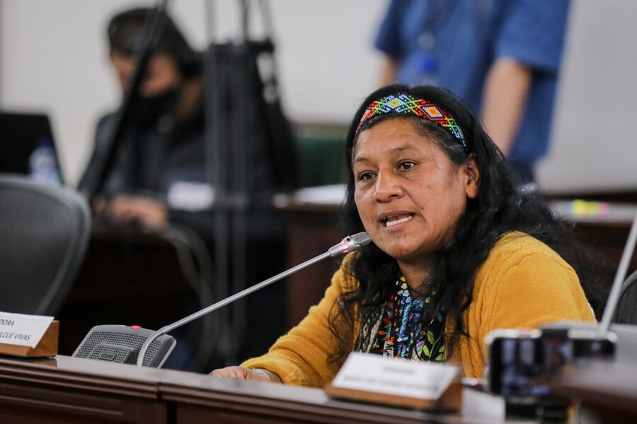 Aida Quilcué fue consejera mayor del Cric, donde promovió diálogo con el Estado para garantizar seguridad y derechos colectivos - crédito Colprensa