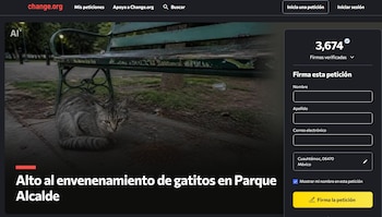 Vecinos han reportado la muerte de varios gatos en Guadalajara por presunto envenenamiento.