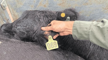 La policía rural de Santa
