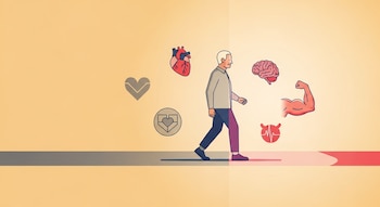 Ilustración plana de una persona madura caminando sobre un camino que pasa de gris a rojo vivo. Flotan iconos de corazón, cerebro y músculo.