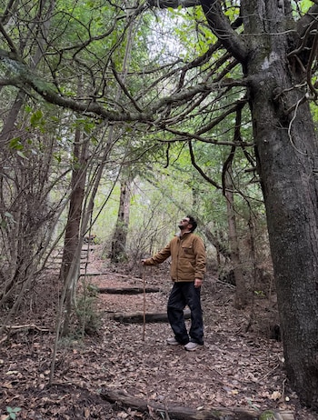 Un hombre con chaqueta marrón y pantalón oscuro está en un bosque. Sostiene un palo, mira hacia las copas de los árboles. El suelo tiene hojas secas y ramas