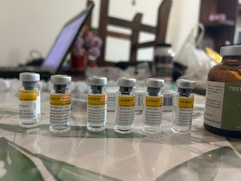 Varias jeringas plásticas, agujas hipodérmicas en sus empaques, una caja de clenbuterol y el borde de una computadora portátil sobre un mantel