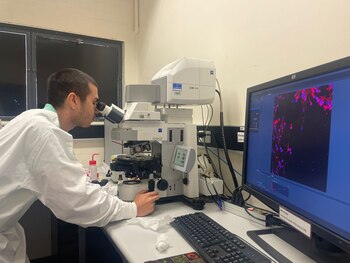 Imagen L2YZNW5WNZCNJLEQJWBN7CIRCM