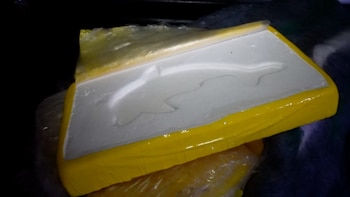 Ladrillos de droga con forma de delfín incautados en operativo policial en Uruguay (Ministerio del Interior)