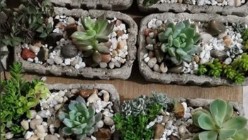 ‘No Más Colillas’, la ONG