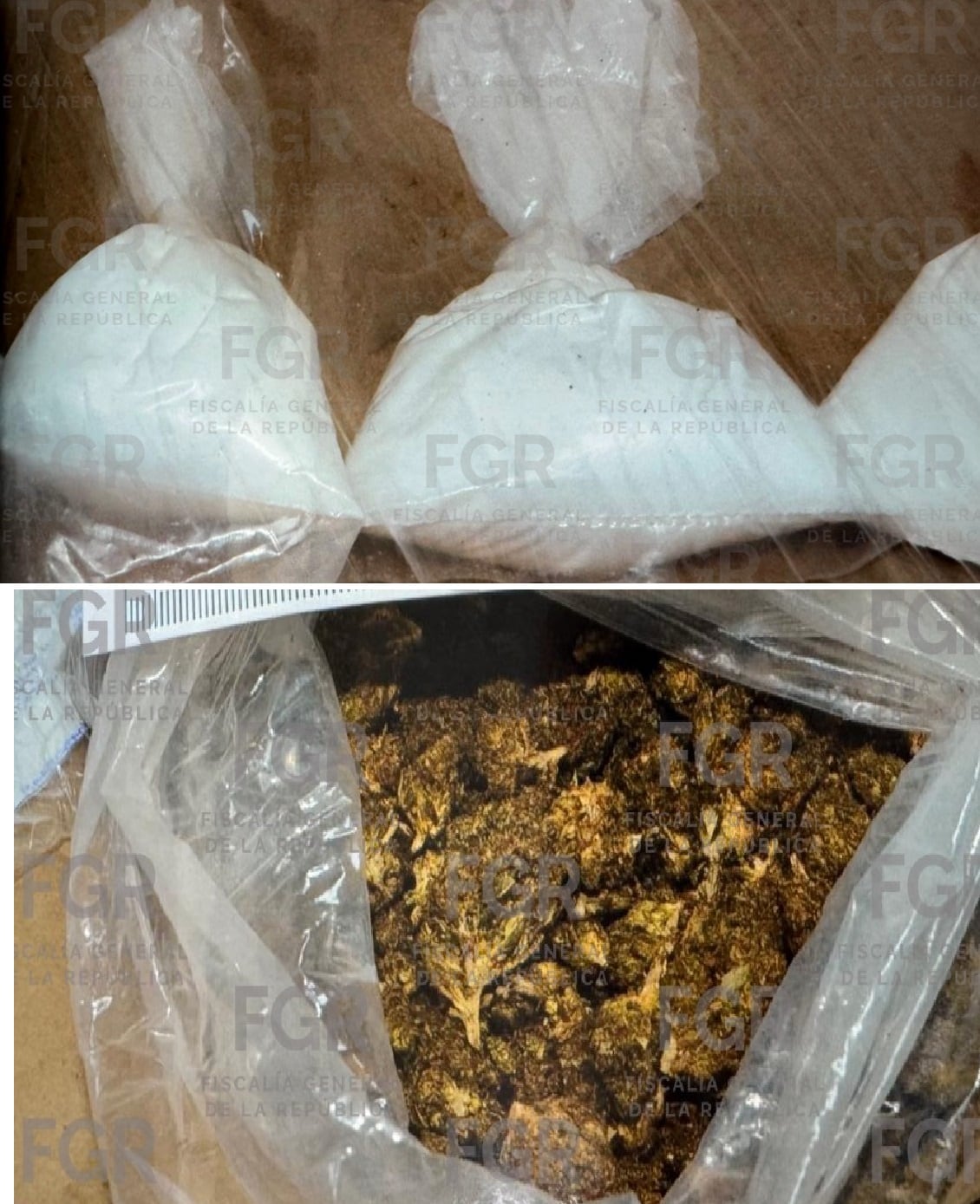 La droga incautada (FGR)