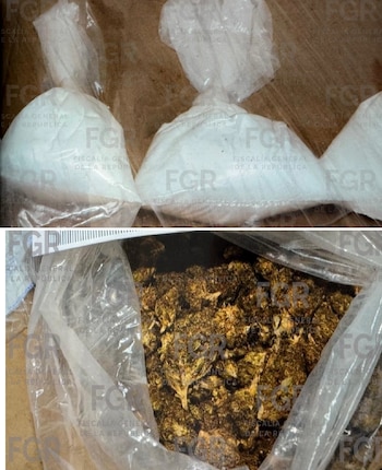 La droga incautada
(FGR)