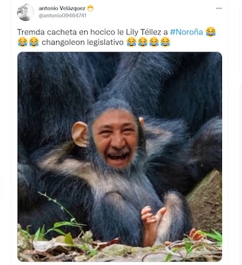 El diputado del Partido del