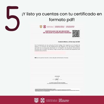 Foto: X: @DGRCivilCDMX