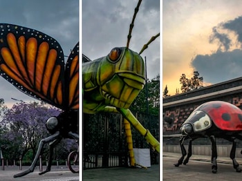 Foto: @armando_rmz10 / Instagram