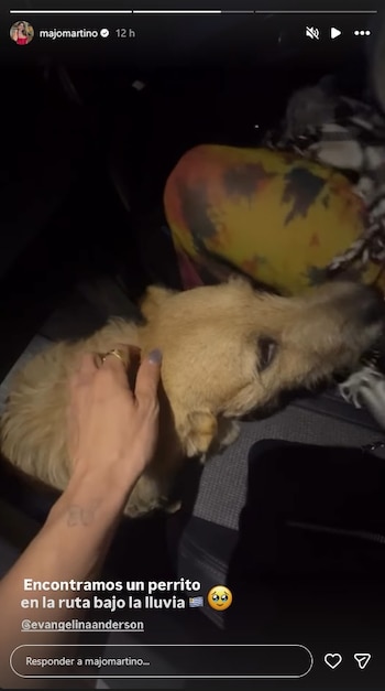 Luego de una noche a