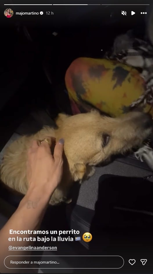 Luego de una noche a puro baile, Anderson y Martino rescataron a un perro al costado de la ruta (Instagram)