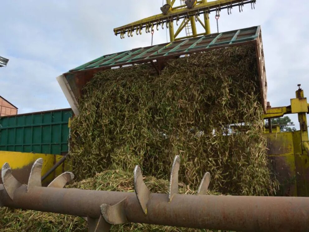 Mecanización de cañaverales en surcos estrechos: un avance hacia la sostenibilidad agrícola
