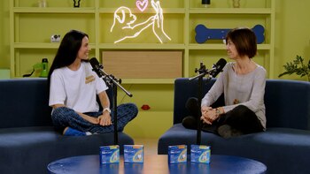 La importancia de los perros