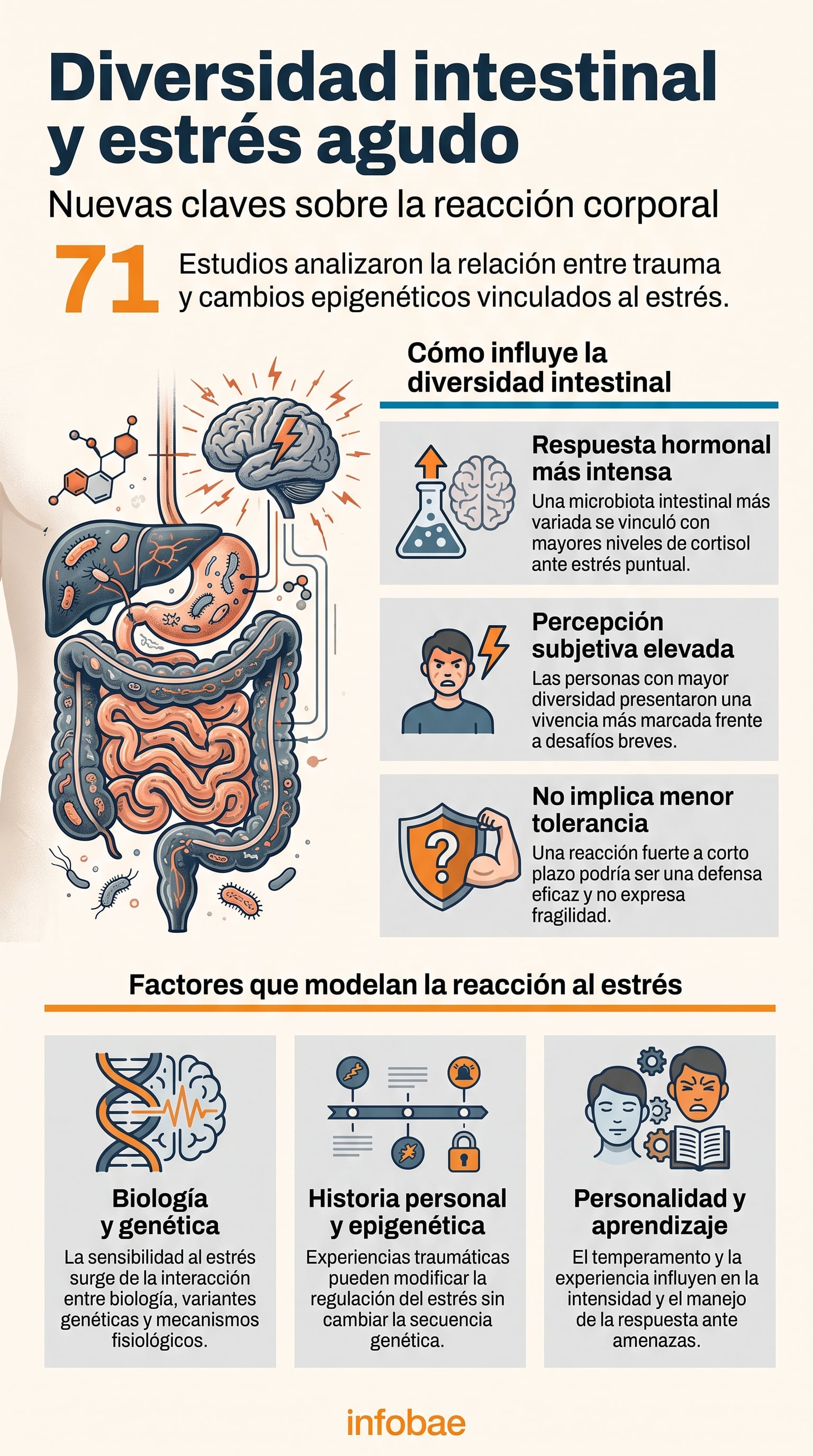 Los autores señalaron que una activación más intensa ante el estrés agudo no implica peor tolerancia, sino una posible respuesta adaptativa del organismo (Imagen Ilustrativa Infobae)