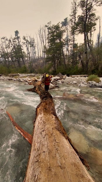 El incendio forestal en Chubut
