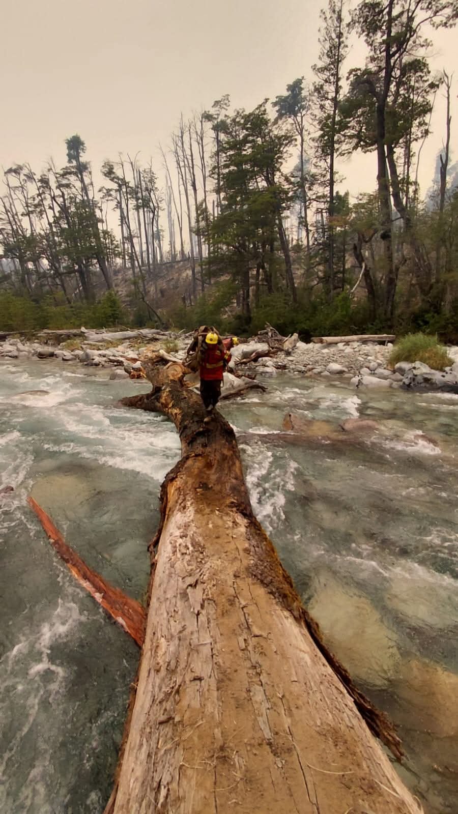 El incendio forestal en Chubut ya consumió más de 3.000 hectáreas de bosque nativo y matorral en la zona de El Turbio