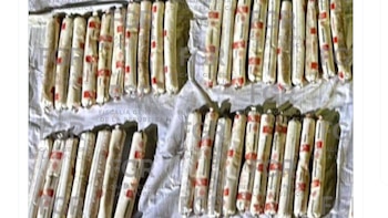 No eran camotes: detienen a