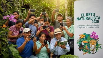 El Reto Naturalista 2026 convoca a ciudadanos de Guatemala y Petén a registrar biodiversidad