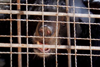 El Departamento de Recursos Naturales