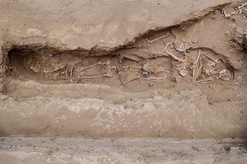 Los hallazgos corresponden a dos momentos distintos: entierros realizados antes del terremoto de 1619 y otros posteriores a la destrucción del templo. El Peruano