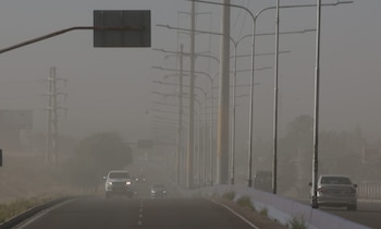 Guaymallén concentró 11 intervenciones por el temporal en Mendoza, entre árboles con riesgo de caída, postes caídos e incendios de campo