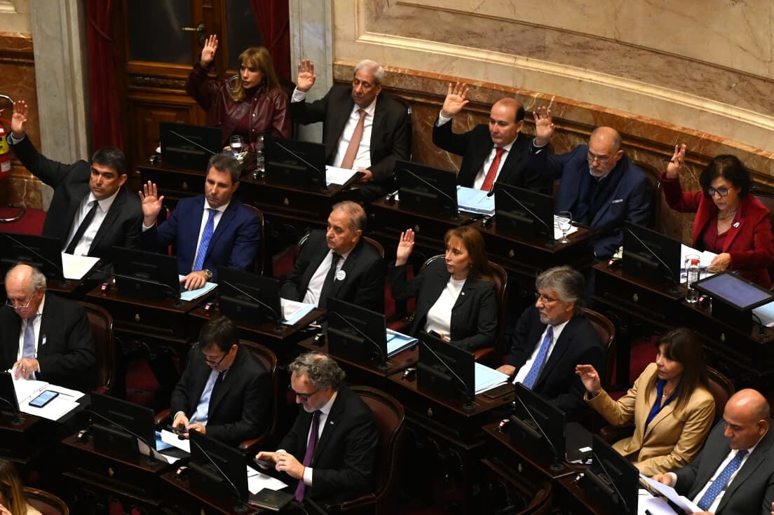 Avanza el debate en el Senado (Foto: RS Fotos)