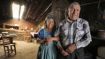 Pensión Mujeres Bienestar: estas son