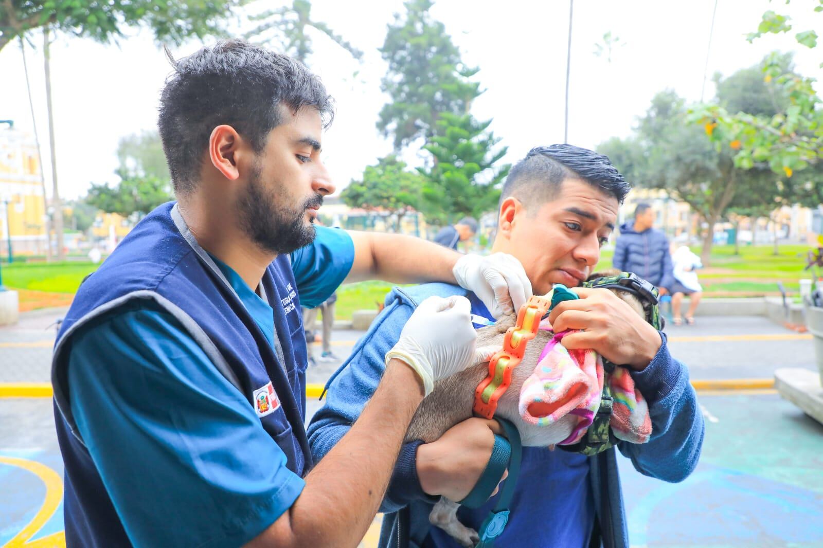 Vacunan a las mascotas. (Foto: Muni Surco)