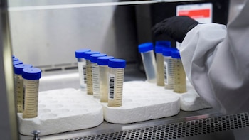 Estados Unidos ofrece USD 10 millones por un presunto espía chino acusado de robar investigaciones sobre la COVID-19