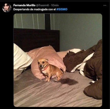 (Foto: Captura de pantalla)