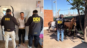Imagen dividida con un hombre custodiado por dos policías a la izquierda y un agente junto a un caballo en un patio a la derecha.
