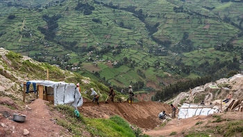 Decenas de muertos por un