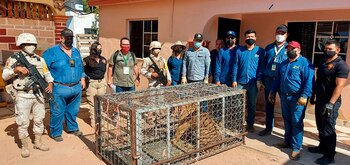 Elementos de la Guardia Nacional