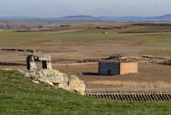 Támara de Campos es un