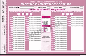 Muestra de la boleta, aún