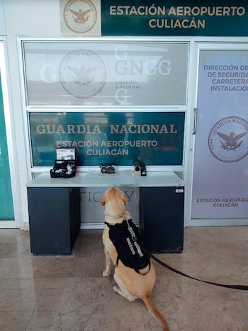 La presunta droga se encontraba