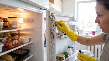 Por qué la goma de la puerta de tu refrigerador tiene puntos negros y cómo debes limpiarlos